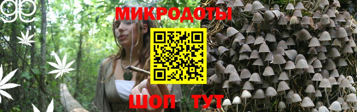 Галлюциногенные грибы Magic Shrooms  Вход с VPN  Псилоцибиновые грибы Magic Shrooms  Кыштым 